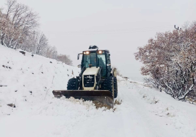Tunceli’de kar; 50 köy yolu ulaşıma kapandı