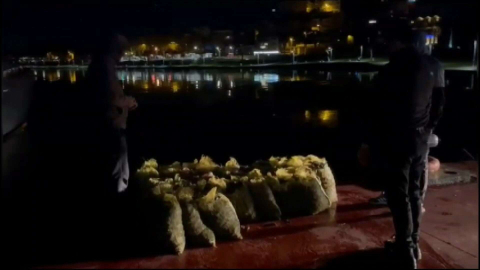 Sarıyer'de kaçak avlanan 1.5 ton midye denize döküldü