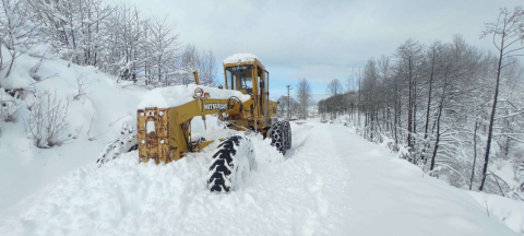 Doğu Karadeniz'de kar; 367 köy yolu kapandı