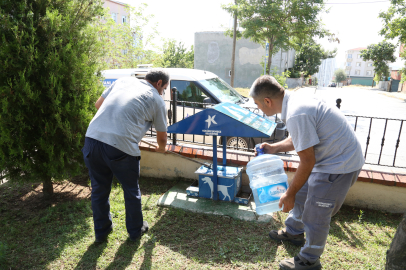 Küçükçekmece'de sokak hayvanları aşırı sıcaklardan korunuyor