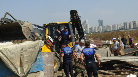 İstanbul - Avcılar'da kaçak baraka ve ahırlar yıkıldı