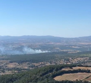 Çanakkale’deki orman yangını 1 saatte kontrol altına alındı