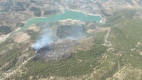 Muğla'da orman yangını (2)