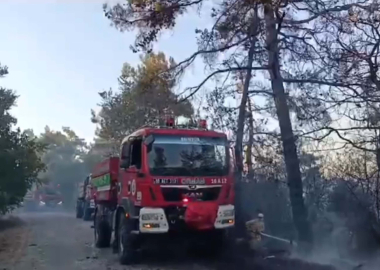 Balıkesir'de orman yangını (2)