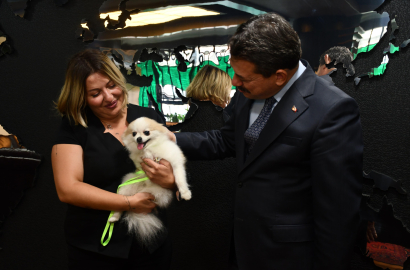 Köpeğine şiddet uygulayınca gözaltına alındı (2)