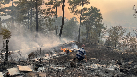 Muğla'da orman yangını (2)