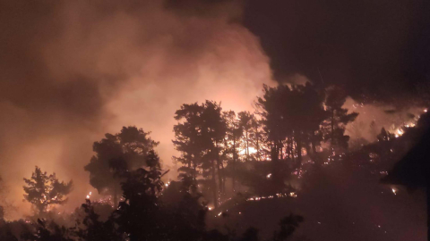 Muğla'da orman yangını (2)